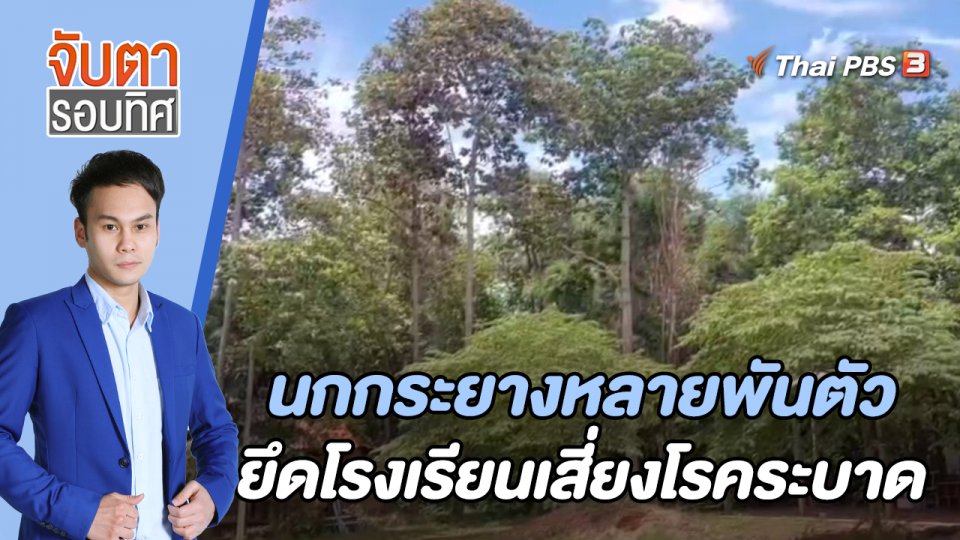 นกกระยางหลายพันตัวยึดโรงเรียนเสี่ยงโรคระบาด | 27 มิ.ย. 66