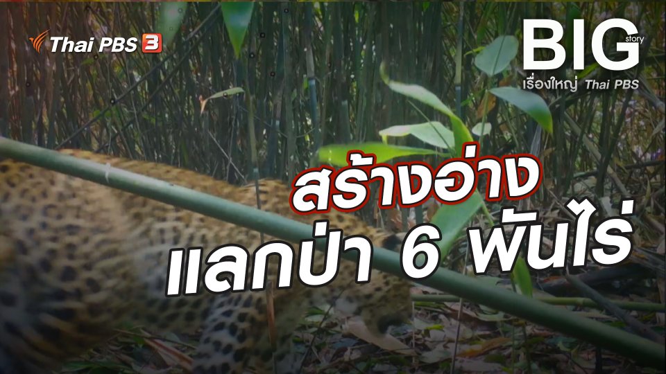 สร้างอ่างแลกป่า 6 พันไร่