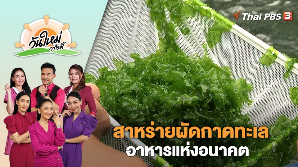 สาหร่ายผัดกาดทะเล อาหารแห่งอนาคต | วันใหม่วาไรตี้ | 7 ก.ค. 66