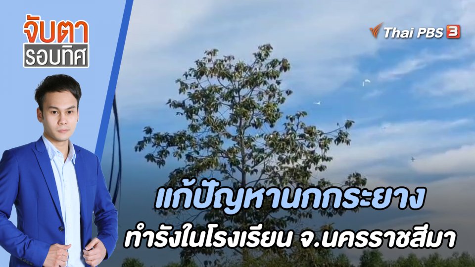 แก้ปัญหานกกระยางทำรังใน รร. จ.นครราชสีมา | 7 ก.ค. 66