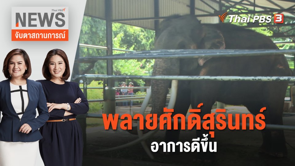 พลายศักดิ์สุรินทร์ อาการดีขึ้น | จับตาสถานการณ์ | 6 ก.ค. 66