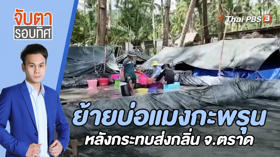 ย้ายบ่อแมงกะพรุนหลังกระทบส่งกลิ่น จ.ตราด | 12 ก.ค. 66