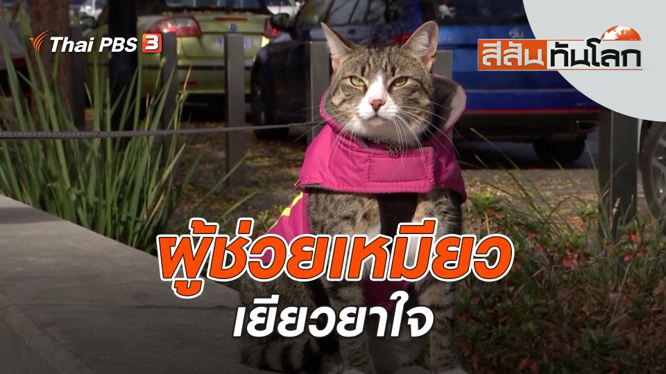 ผู้ช่วยเหมียวเยียวยาใจ | สีสันทันโลก | 16 ก.ค. 66