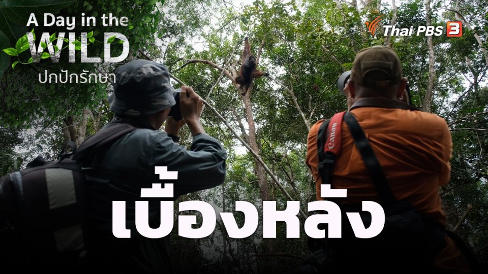เบื้องหลัง