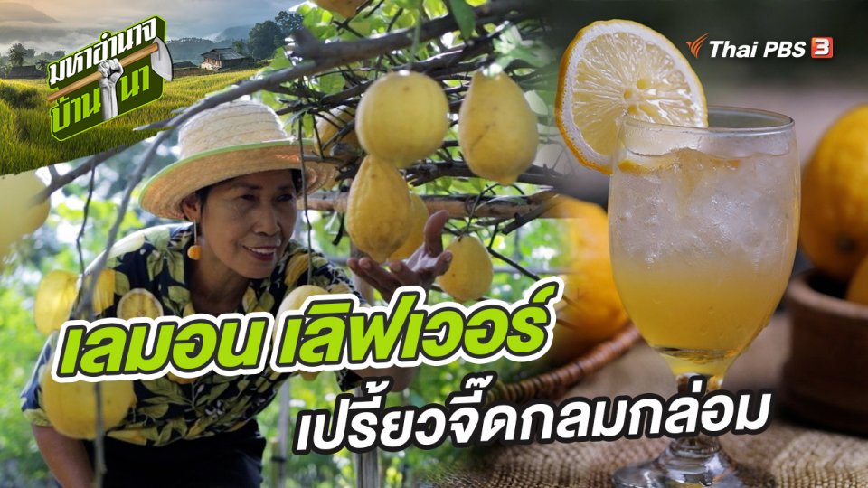 เลมอน เลิฟเวอร์ เปรี้ยวจี๊ดกลมกล่อม