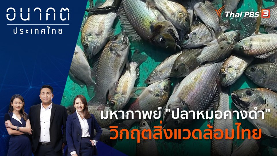 ทางออกวิกฤต "ปลาหมอสีคางดำ"