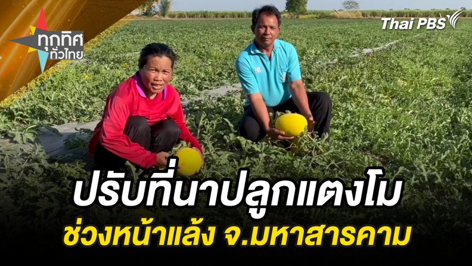 ปรับที่นาปลูกแตงโมช่วงหน้าแล้ง จ.มหาสารคาม