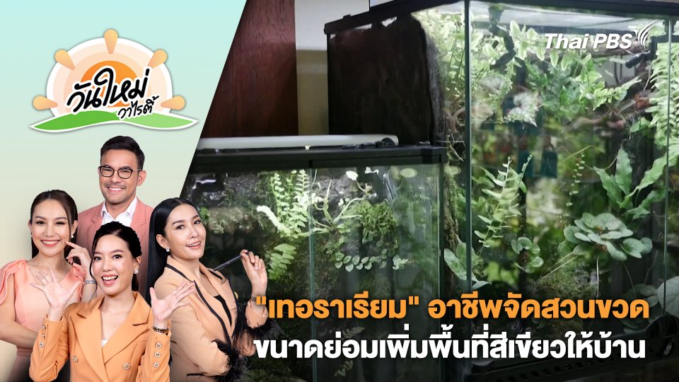 "เทอราเรียม" อาชีพจัดสวนขวดขนาดย่อมเพิ่มพื้นที่สีเขียวให้บ้าน| วันใหม่วาไรตี้ | 19 ก.พ. 67