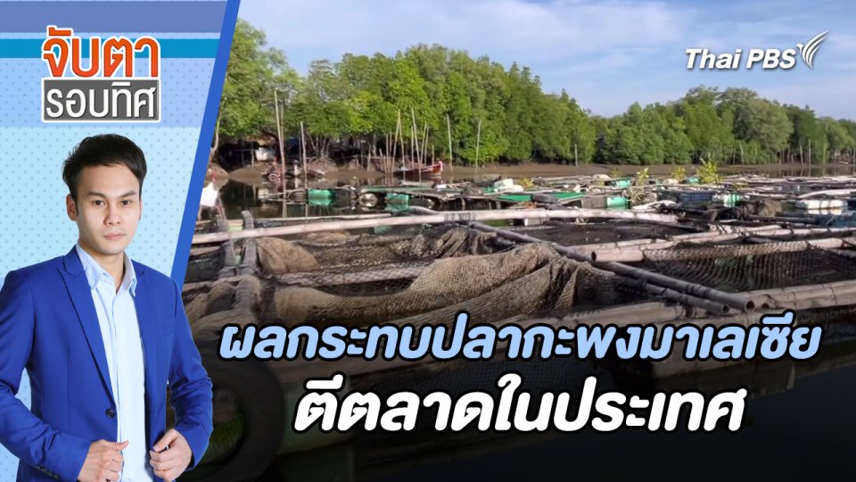 ผลกระทบปลากะพงมาเลเซียตีตลาดในประเทศ | จับตารอบทิศ | 26 มี.ค. 67