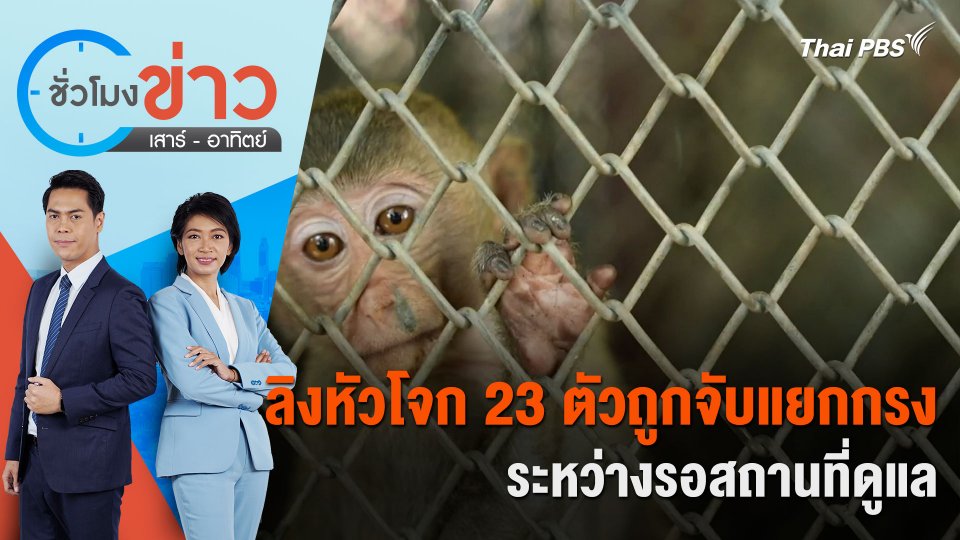 ลิงหัวโจก 23 ตัวถูกจับแยกกรงระหว่างรอสถานที่ดูแล | ชั่วโมงข่าว เสาร์ - อาทิตย์ | 31 มี.ค. 67