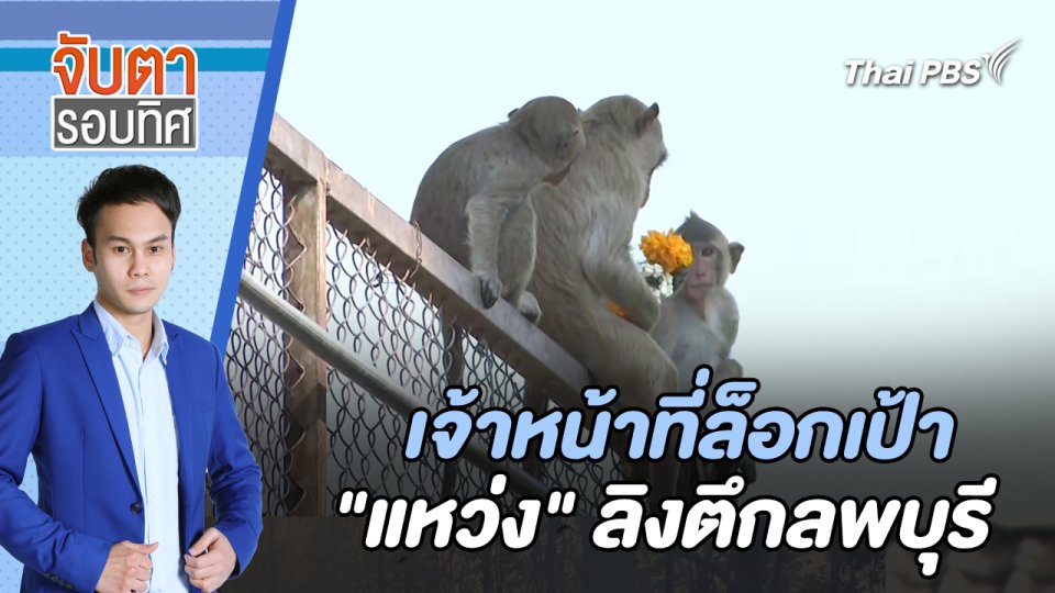 เจ้าหน้าที่ล็อกเป้า "แหว่ง" ลิงตึกลพบุรี | จับตารอบทิศ | 1 เม.ย. 67