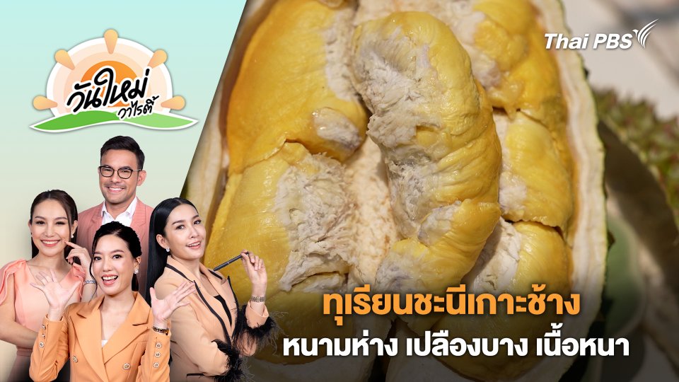 ทุเรียนชะนีเกาะช้าง หนามห่าง เปลืองบาง เนื้อหนา | วันใหม่วาไรตี้ | 19 เม.ย. 67