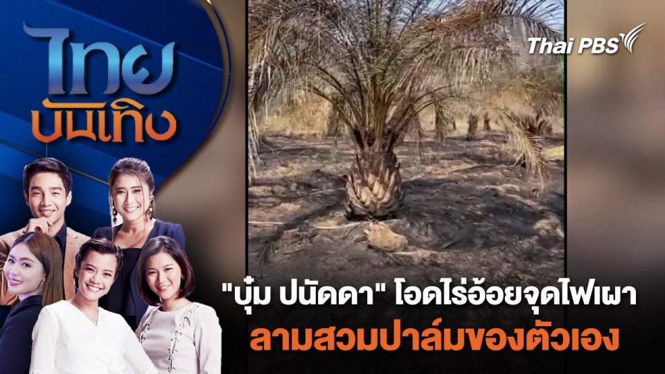 ​"บุ๋ม ปนัดดา" โอดไร่อ้อยจุดไฟเผาลามสวมปาล์มของตัวเอง | ไทยบันเทิง | 22 เม.ย. 67