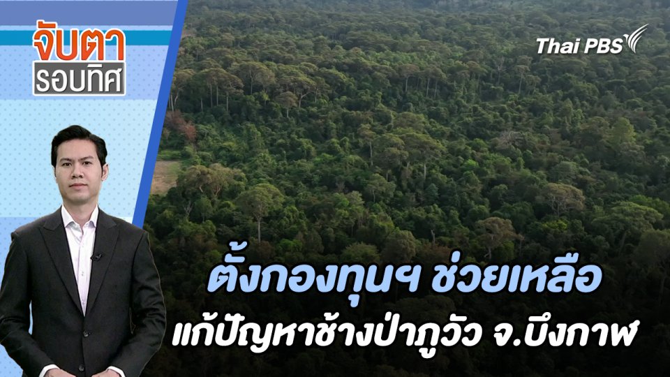 ตั้งกองทุนฯ ช่วยเหลือแก้ปัญหาช้างป่าภูวัว จ.บึงกาฬ | จับตารอบทิศ | 29 ม.ค. 67