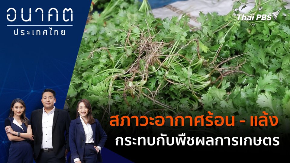 สภาวะอากาศร้อน - แล้ง กระทบกับพืชผลการเกษตร