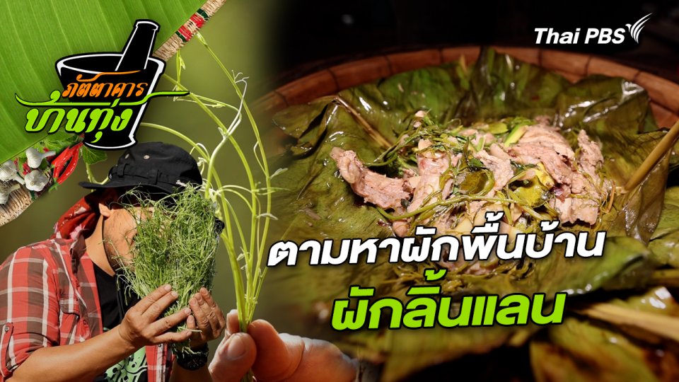 ผักลิ้นแลน