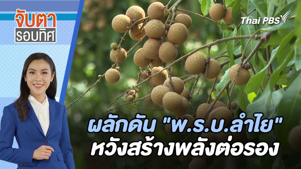 ผลักดัน "พ.ร.บ.ลำไย" หวังสร้างพลังต่อรอง  | จับตารอบทิศ | 17 พ.ค. 67