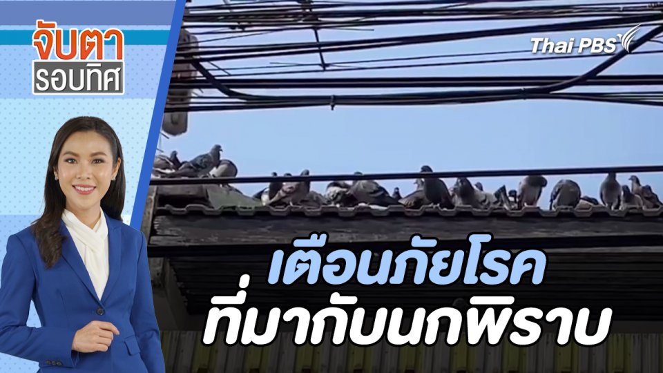 เตือนภัยโรคที่มากับนกพิราบ | จับตารอบทิศ | 16 พ.ค. 67