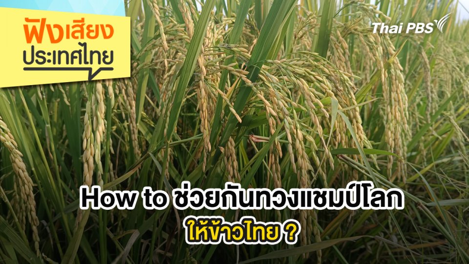 How to ช่วยกันทวงแชมป์โลก ให้ข้าวไทย ?