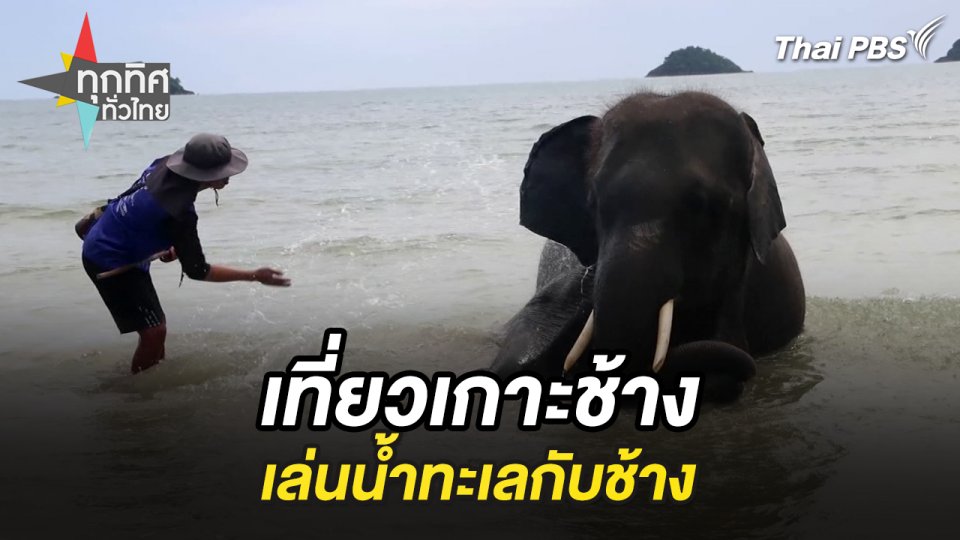 เที่ยวเกาะช้างเล่นน้ำทะเลกับช้าง จ.ตราด