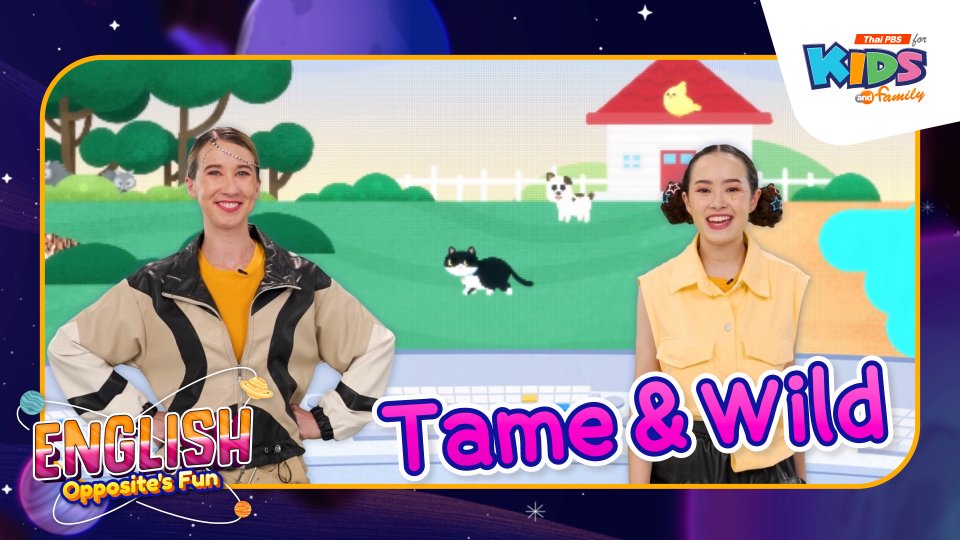 Tame&Wild