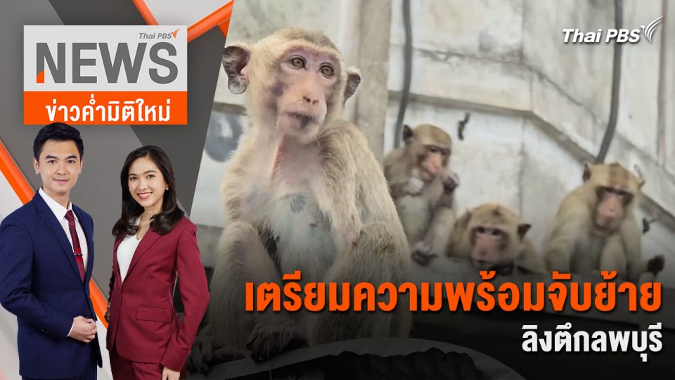 เตรียมความพร้อมจับย้ายลิงตึกลพบุรี | 23 พ.ค. 67