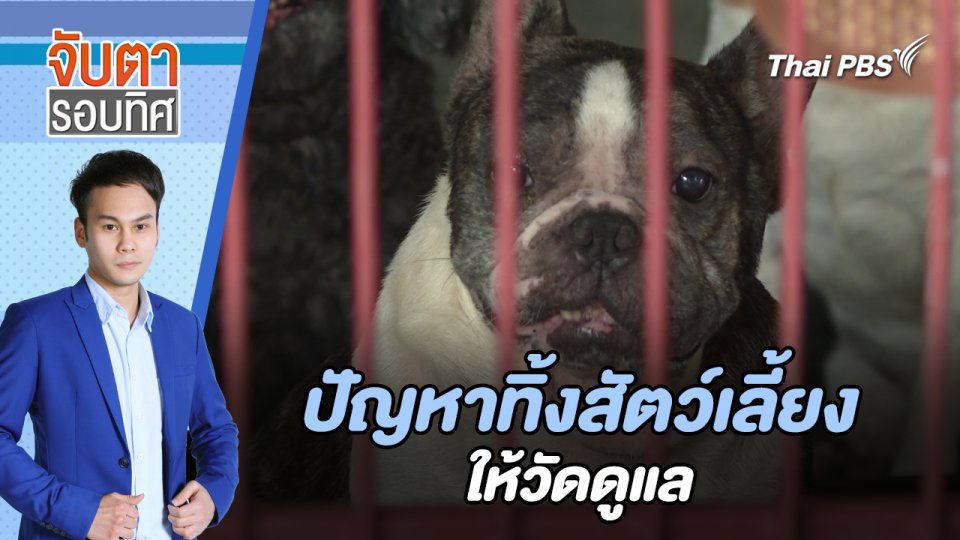 ปัญหาทิ้งสัตว์เลี้ยงให้วัดดูแล | จับตารอบทิศ | 4 มิ.ย. 67