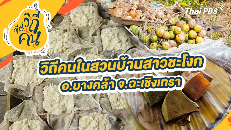 วิถีคนในสวนบ้านสาวชะโงก อ.บางคล้า จ.ฉะเชิงเทรา