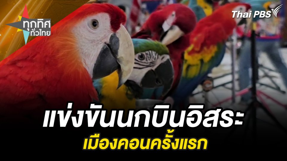 แข่งขันนกบินอิสระเมืองคอนครั้งแรก จ.นครศรีธรรมราช