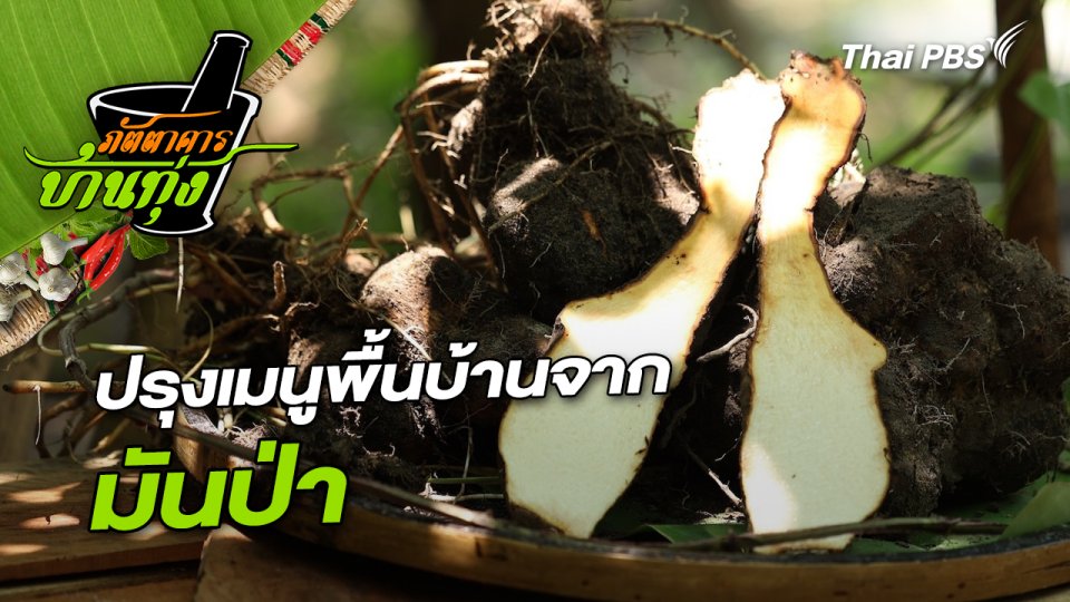 มันป่า