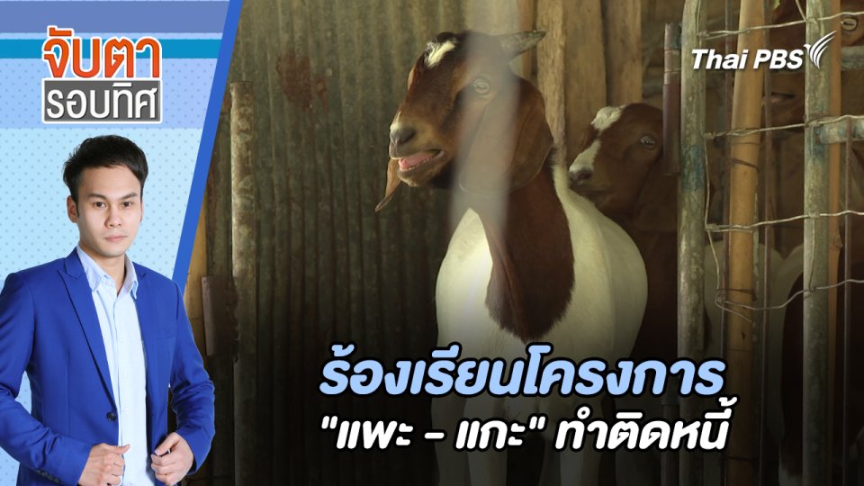 ร้องเรียนโครงการ "แพะ - แกะ" ทำติดหนี้ | จับตารอบทิศ | 2 ก.ค. 67