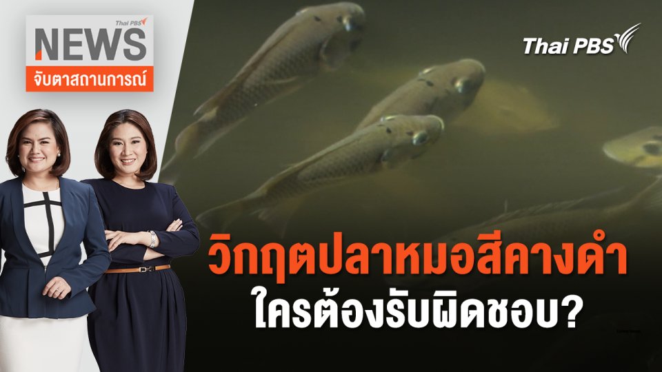 วิกฤตปลาหมอสีคางดำ ใครต้องรับผิดชอบ? | จับตาสถานการณ์ | 5 ก.ค. 67