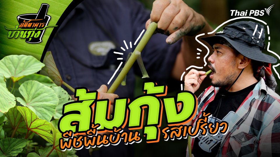ส้มกุ้ง