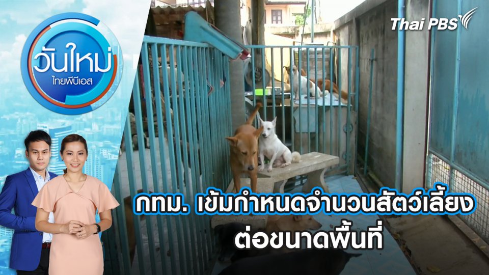กทม. เข้มกำหนดจำนวนสัตว์เลี้ยง ต่อขนาดพื้นที่ | 4 พ.ย. 67