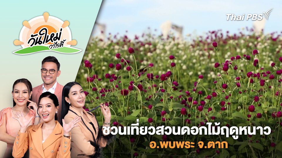 ชวนเที่ยวสวนดอกไม้ฤดูหนาว อ.พบพระ จ.ตาก | วันใหม่วาไรตี้ | 29 พ.ย. 67