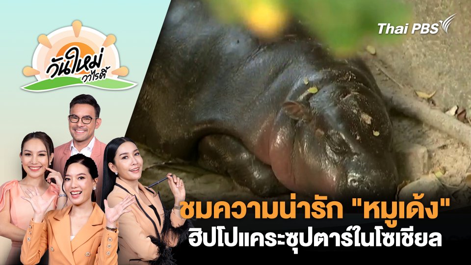 ชมความน่ารัก​ "หมูเด้ง" ฮิปโปแคระซุปตาร์ในโซเชียล | วันใหม่วาไรตี้ | 9 ธ.ค. 67