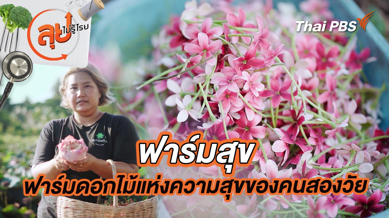 ลุยไม่รู้โรย