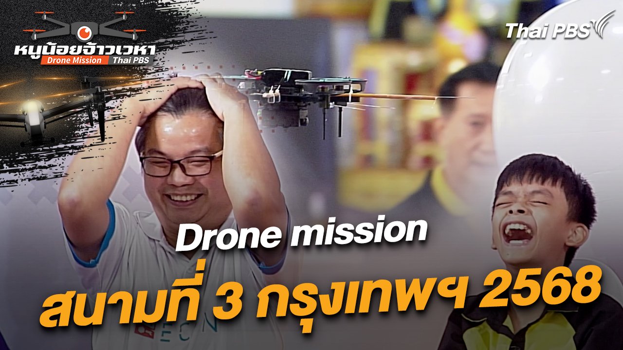 หนูน้อยจ้าวเวหา