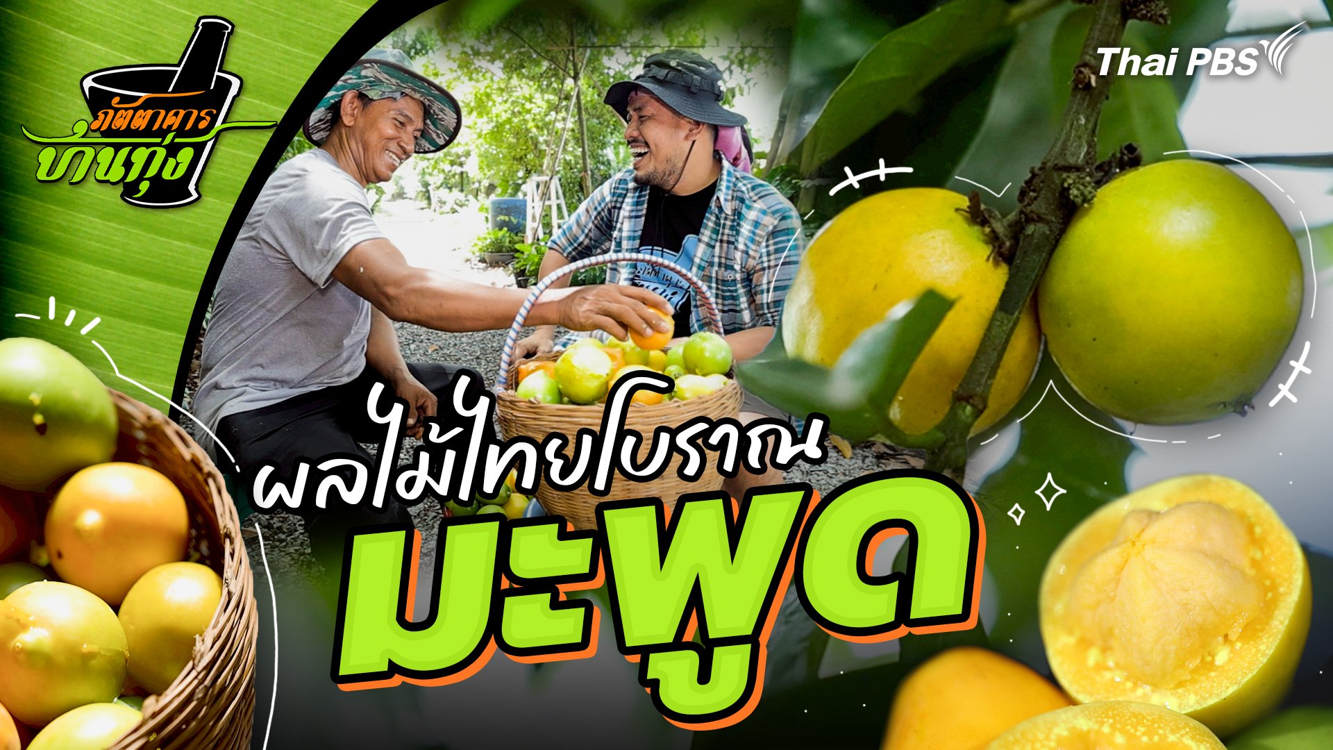 มะพูด