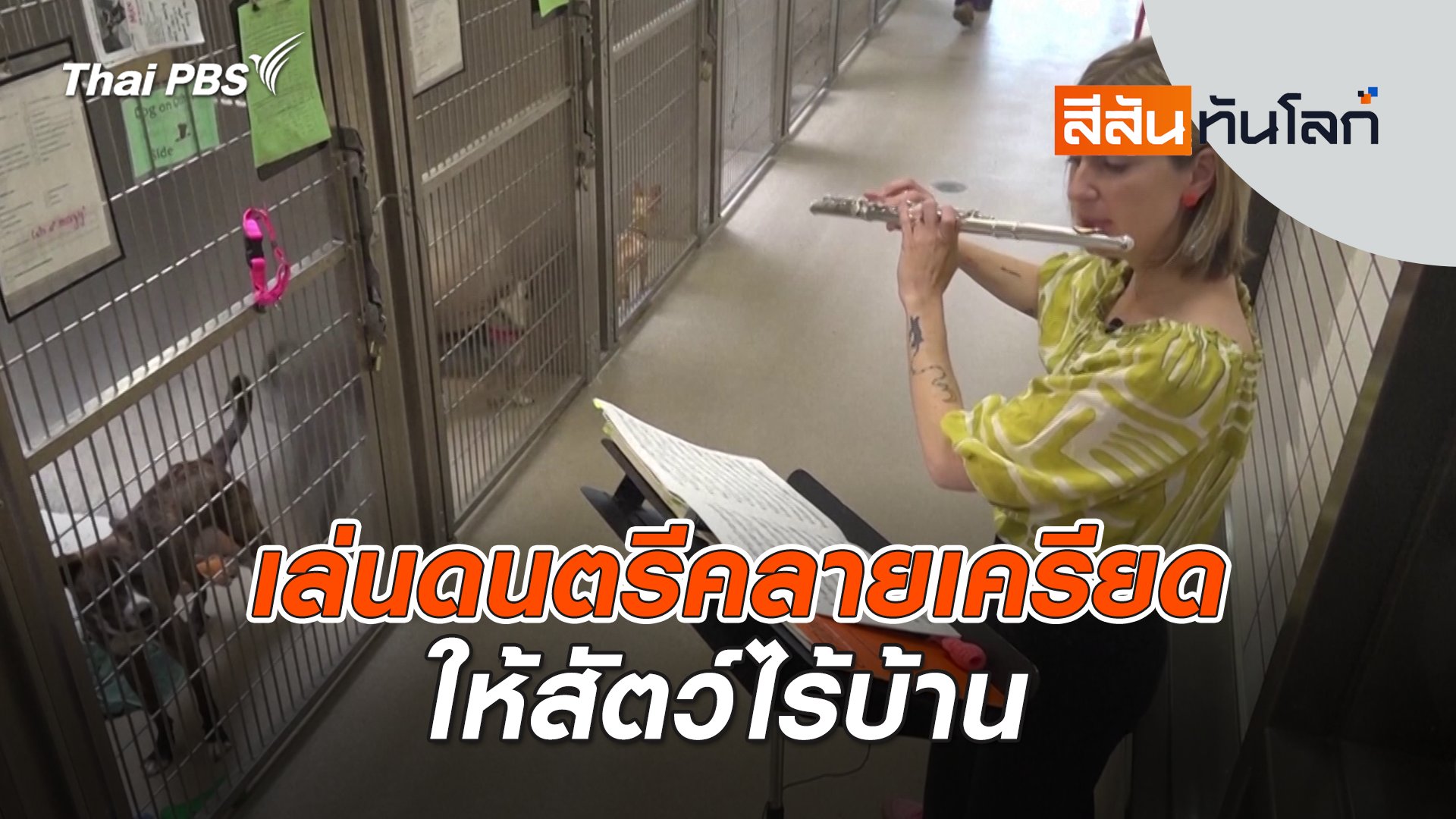 สีสันทันโลก