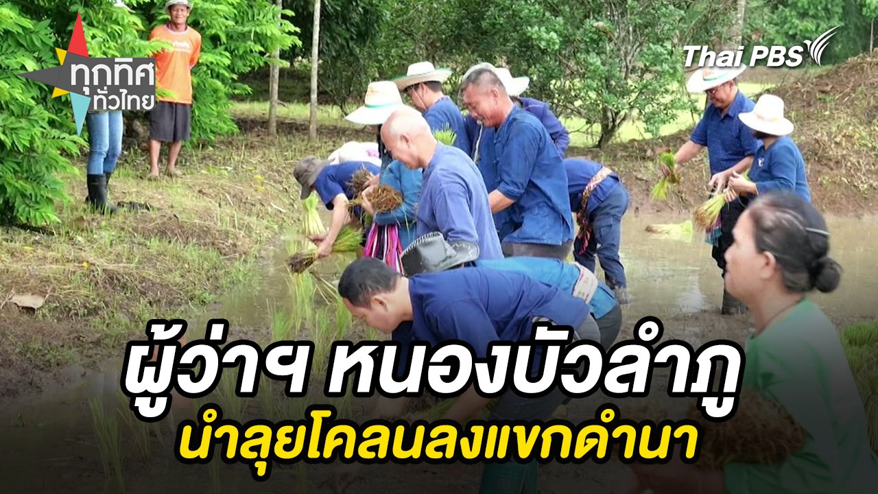 ผู้ว่าฯ หนองบัวลำภูนำลุยโคลนลงแขกดำนา