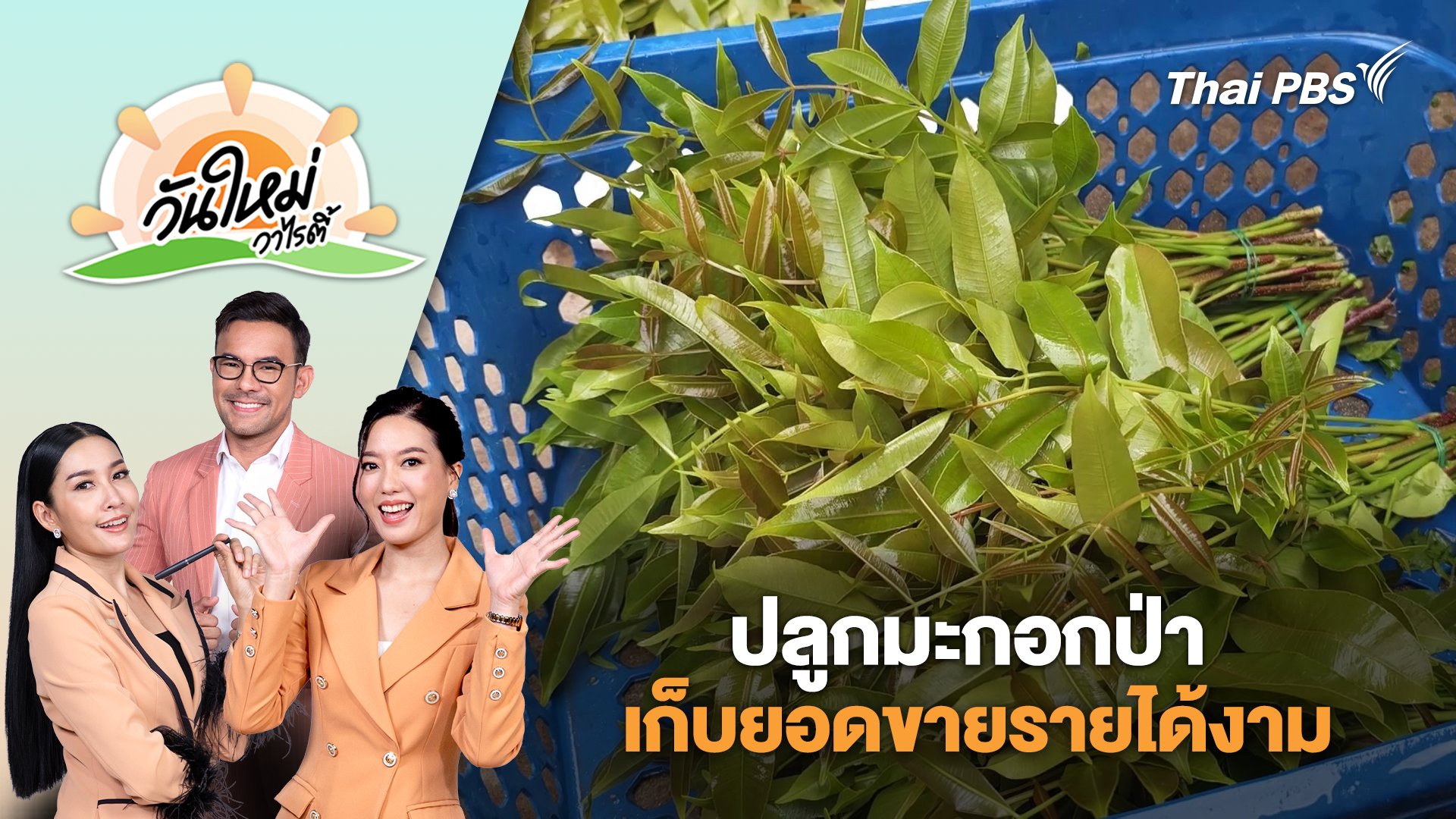 วันใหม่วาไรตี้