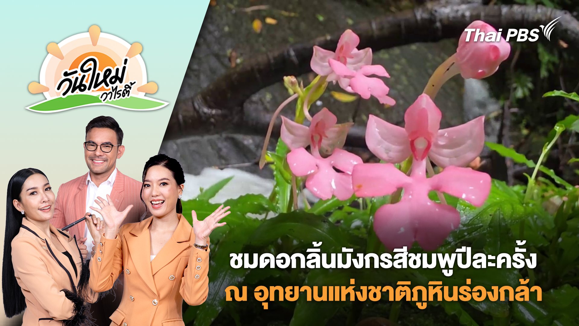 วันใหม่วาไรตี้