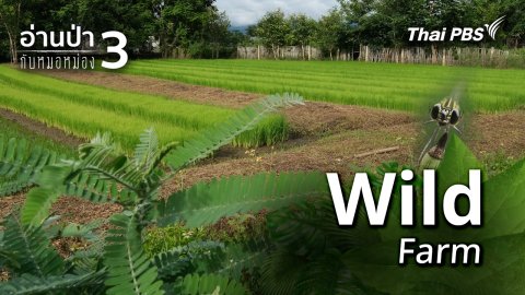 Wild Farm