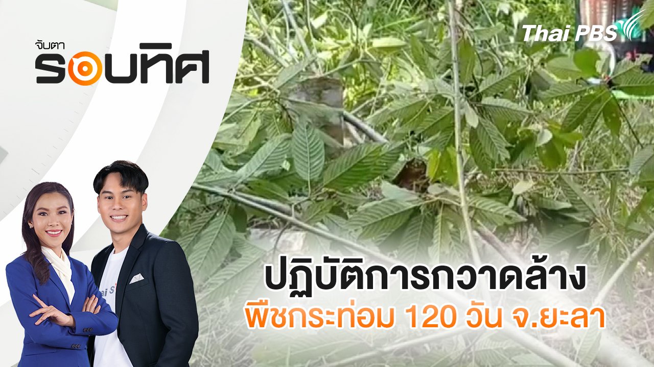 จับตารอบทิศ
