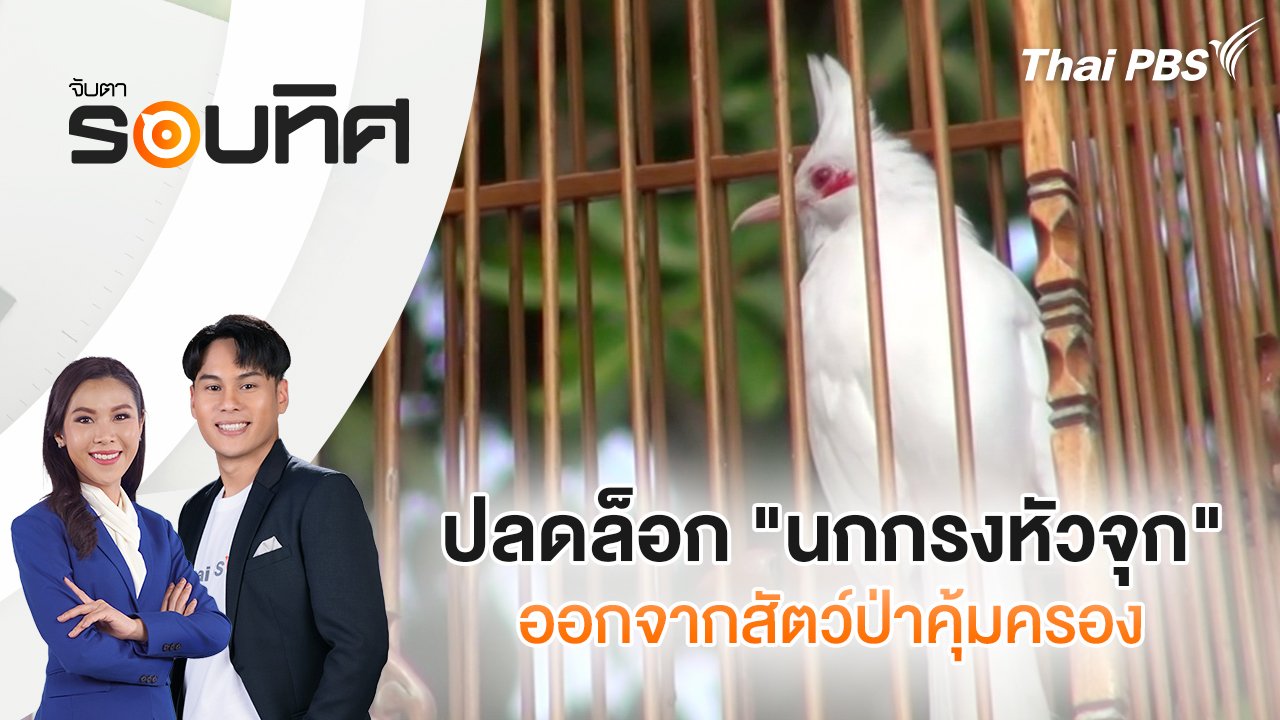 จับตารอบทิศ