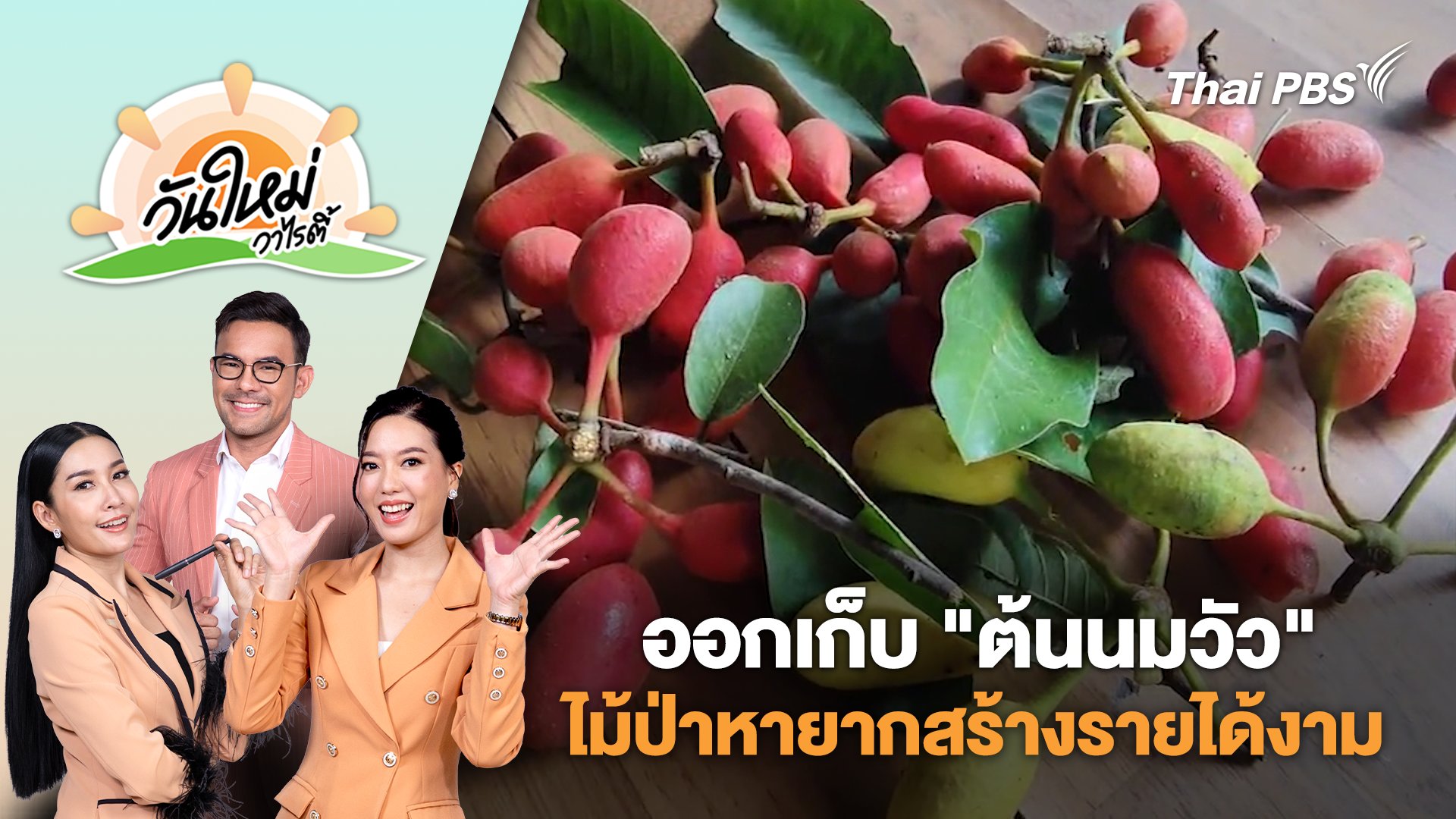 วันใหม่วาไรตี้