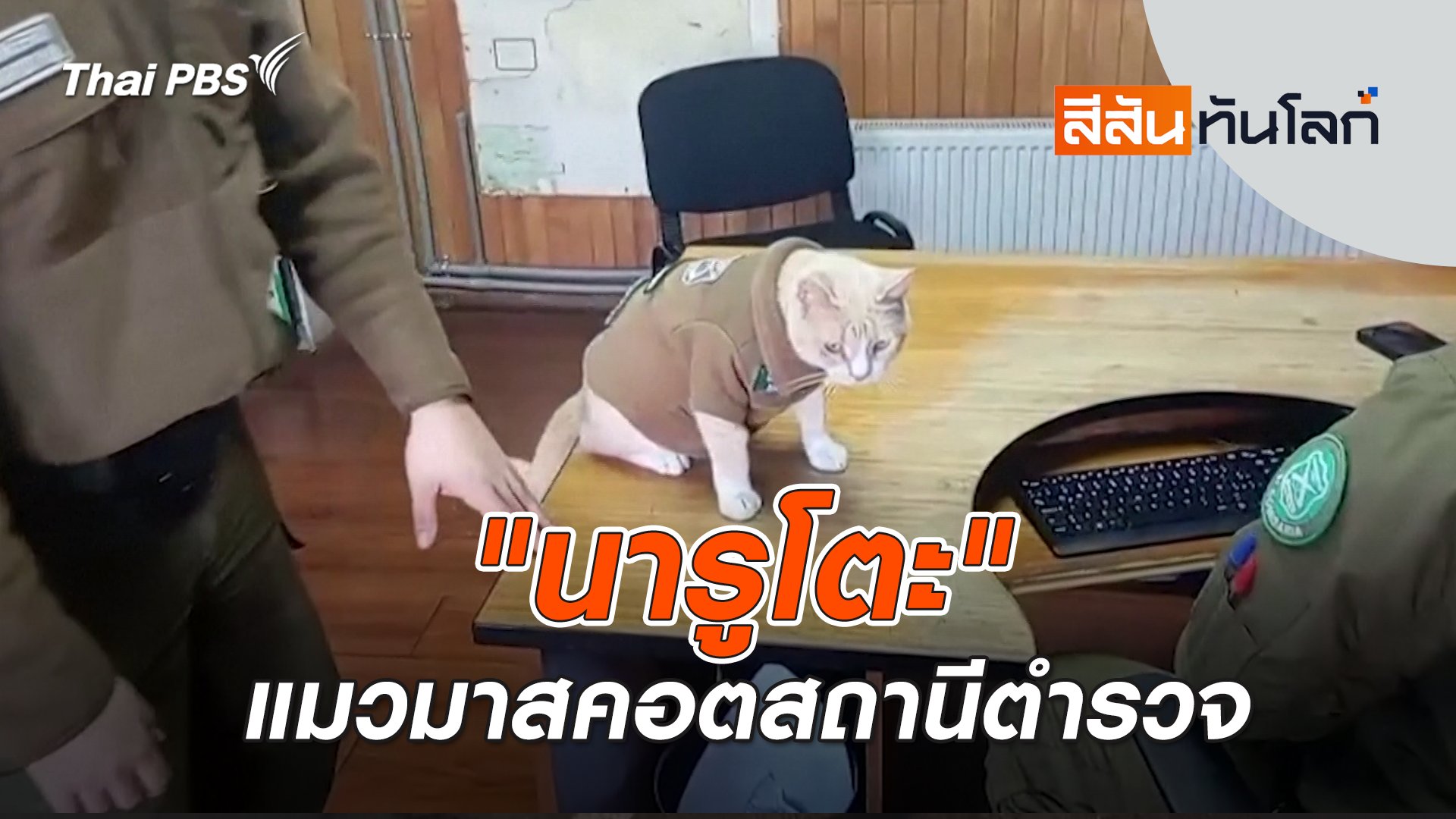 สีสันทันโลก