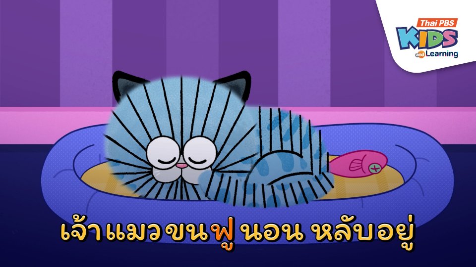 เจ้าแมวหลับอยู่