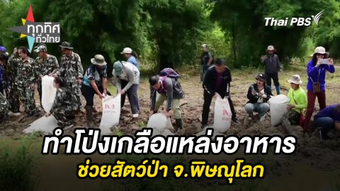 ทำโป่งเกลือแหล่งอาหารช่วยสัตว์ป่า จ.พิษณุโลก
